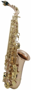 Saxofon Eb-Alt Roy Benson AS-202G