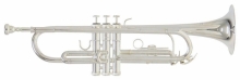 Trompeta Bb Roy Benson TR-202S